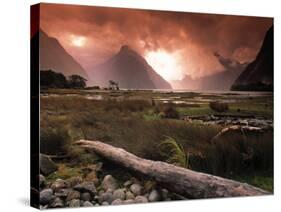 Milford Sound, Fiordland, South Island, New Zealand-Doug Pearson-Stretched Canvas
