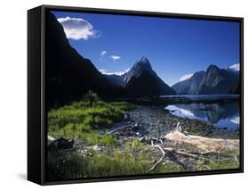 Milford Sound, Fjordland, South Island, New Zealand-Jon Arnold-Framed Stretched Canvas