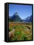 Milford Sound, Mitre Peak, New Zealand-Steve Vidler-Framed Stretched Canvas