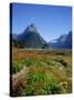 Milford Sound, Mitre Peak, New Zealand-Steve Vidler-Stretched Canvas