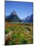 Milford Sound, Mitre Peak, New Zealand-Steve Vidler-Mounted Photographic Print