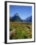 Milford Sound, Mitre Peak, New Zealand-Steve Vidler-Framed Photographic Print