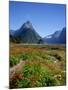 Milford Sound, Mitre Peak, New Zealand-Steve Vidler-Mounted Photographic Print