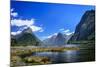 Milford Sound. New Zealand-Ekaterina Shvetsova-Mounted Photographic Print