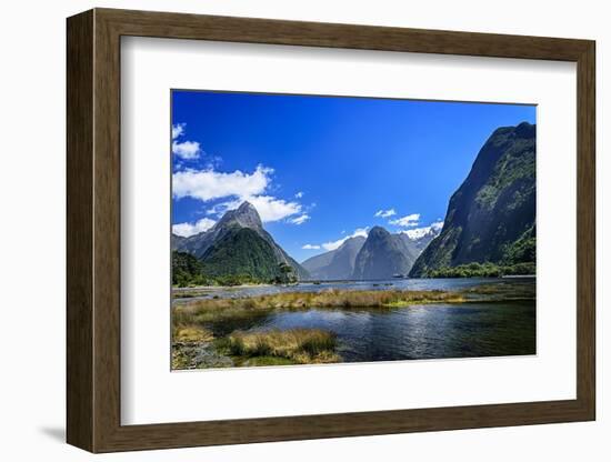 Milford Sound. New Zealand-Ekaterina Shvetsova-Framed Photographic Print