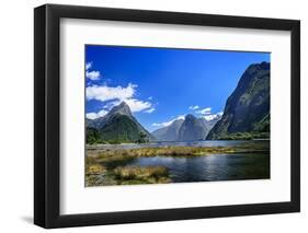 Milford Sound. New Zealand-Ekaterina Shvetsova-Framed Photographic Print