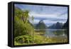 Milford Sound-null-Framed Stretched Canvas