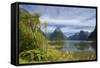 Milford Sound-null-Framed Stretched Canvas