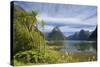 Milford Sound-null-Stretched Canvas