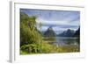 Milford Sound-null-Framed Photographic Print