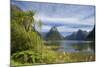 Milford Sound-null-Mounted Photographic Print