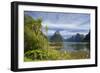 Milford Sound-null-Framed Photographic Print