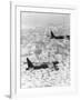 Military Airplane Dropping Bombs in Vietnam-null-Framed Photographic Print