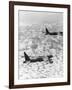 Military Airplane Dropping Bombs in Vietnam-null-Framed Photographic Print