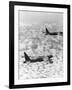 Military Airplane Dropping Bombs in Vietnam-null-Framed Photographic Print