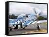 Military Airshow, Olympia, Washington, USA-William Sutton-Framed Stretched Canvas