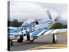 Military Airshow, Olympia, Washington, USA-William Sutton-Stretched Canvas