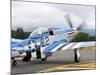 Military Airshow, Olympia, Washington, USA-William Sutton-Mounted Photographic Print