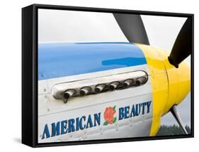 Military Airshow, Olympia, Washington, USA-William Sutton-Framed Stretched Canvas