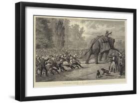 Military Amusements in Afghanistan, the Tug of War in the Camp at Gundamuk-Johann Nepomuk Schonberg-Framed Giclee Print