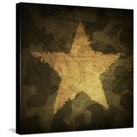 Military Camouflage Background With Grunge Star-pashabo-Stretched Canvas