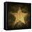 Military Camouflage Background With Grunge Star-pashabo-Framed Stretched Canvas