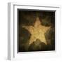 Military Camouflage Background With Grunge Star-pashabo-Framed Art Print