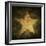 Military Camouflage Background With Grunge Star-pashabo-Framed Art Print