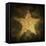 Military Camouflage Background With Grunge Star-pashabo-Framed Stretched Canvas