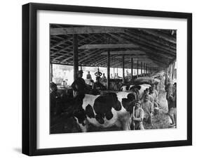 Military Cheese Factory, the Milking-null-Framed Photographic Print