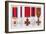 Military Decorations-null-Framed Giclee Print