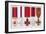 Military Decorations-null-Framed Giclee Print