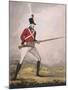 Military Figure in the Uniform of an Unidentified Volunteer Regiment, C1802-null-Mounted Giclee Print