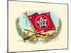 Military Flag-Schumacher & Ettlinger-Mounted Art Print