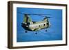 Military Helicopter Flying in Blue Skies-null-Framed Photographic Print