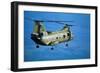 Military Helicopter Flying in Blue Skies-null-Framed Photographic Print