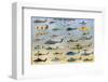 Military Helicopters-null-Framed Premium Giclee Print