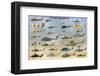 Military Helicopters-null-Framed Art Print