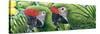 Military Macaws-Durwood Coffey-Stretched Canvas