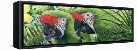 Military Macaws-Durwood Coffey-Framed Stretched Canvas