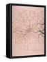 Military Map of a Thirty Six Mile Area around London, C1804-null-Framed Stretched Canvas