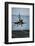 Military Plane Landing on Flight Deck-null-Framed Photographic Print