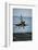 Military Plane Landing on Flight Deck-null-Framed Photographic Print