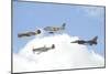 Military Planes Fly in Formation During a Heritage Flight-null-Mounted Photographic Print