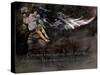 Military Rescue-Jason Bullard-Stretched Canvas