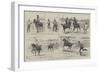 Military Sports at Aldershot-Alfred Chantrey Corbould-Framed Giclee Print