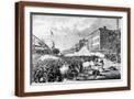 Brown Frame
