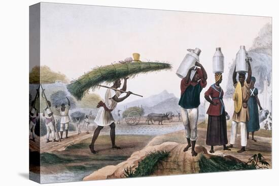 Milk and Capin Plant Sellers-Jean Baptiste Debret-Stretched Canvas