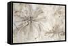 Milk and Honey Floral-Jodi Maas-Framed Stretched Canvas