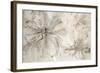 Milk and Honey Floral-Jodi Maas-Framed Giclee Print